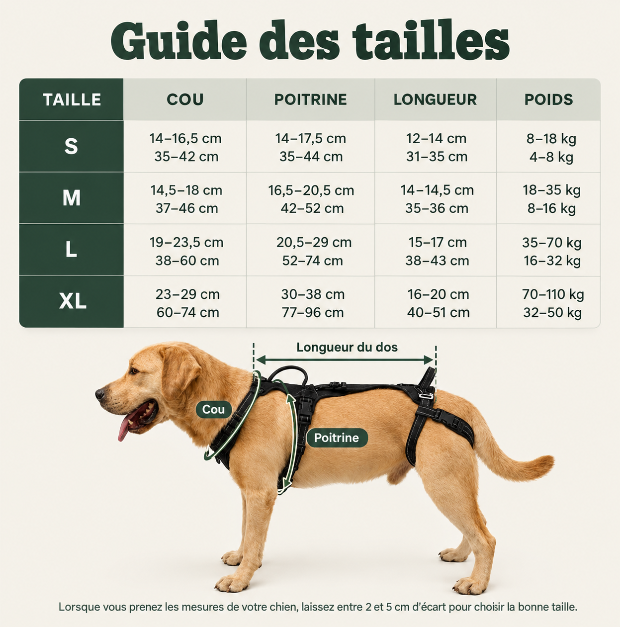 Guide des tailles