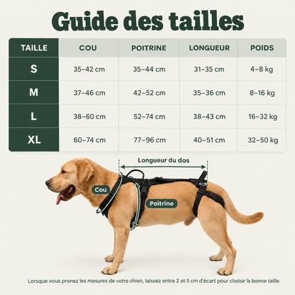 RELEVIA® — Redonnez de la mobilité à votre chien